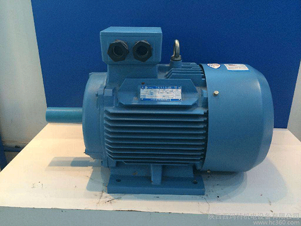 高效節(jié)能電機(jī)是西安泰富西瑪未來商業(yè)發(fā)展的方向。